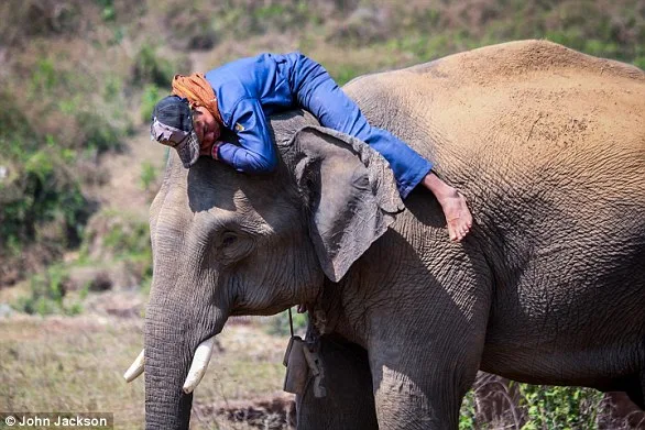Linh Mai: The Surrogacy Struggle at the Smithsonian's National Zoo