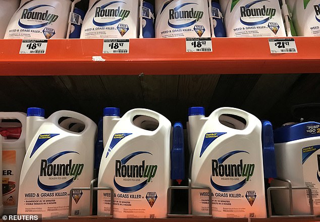 Phil Dressel faces final battle against Monsanto as cancer claim goes to court.