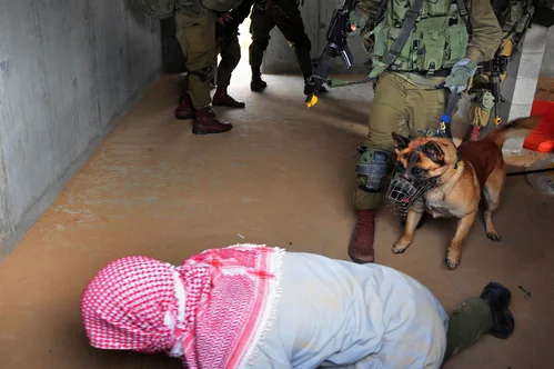 Israel confirms deportation of detained pro-Palestinian activists following controversial detainment video.