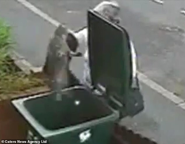 Woman Tosses Cat in Bin Goes Viral and Never Recovers